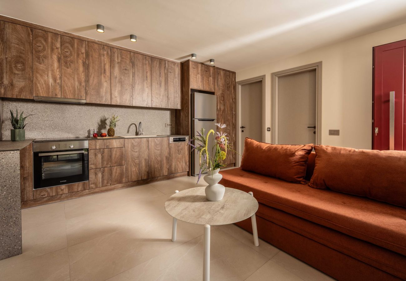 Residence in Vasilikos - Salt Vibe Nerida 1 Bedroom Residence